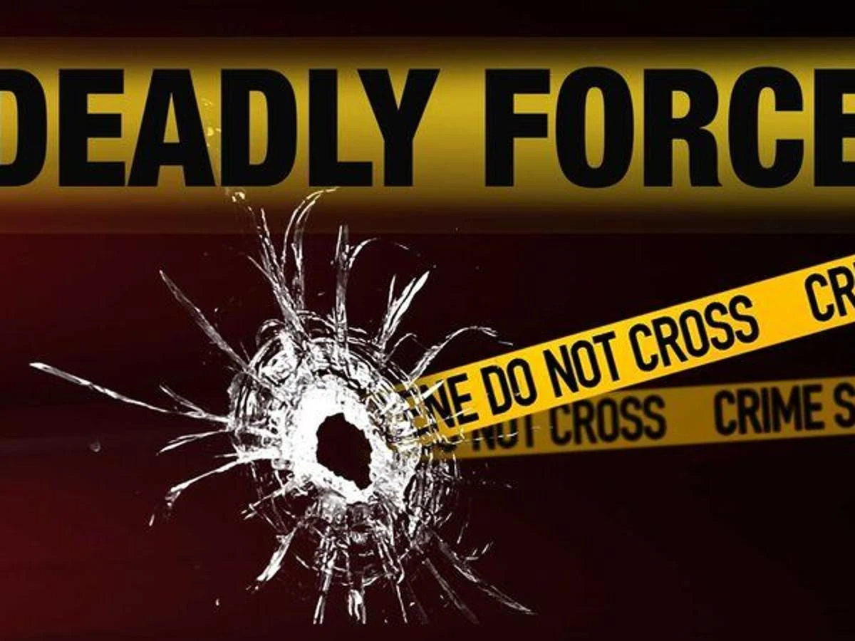 Use of Deadly Force in Self Defense in Michigan | Terry Nolan Law